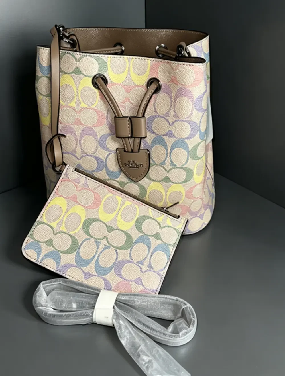 Coach for daily Pastel Rainbow Signature Mini Bucket